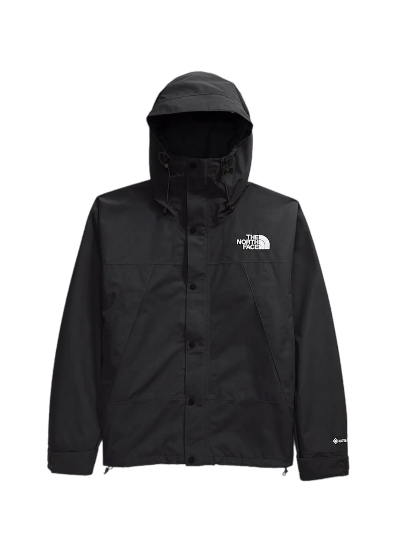 The North Face Men's Gtx Mountain Jacket